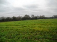 Achat vente Bruere Allichamps