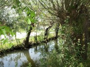 Achat vente bureau, local 