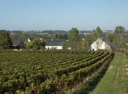 Achat vente maison de village / ville Chinon