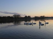 Achat vente Saint Ay