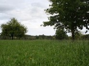 Achat vente Saint Martin D Auxigny