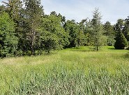 Achat vente Saint Martin De Nigelles