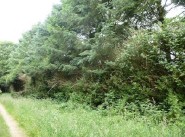 Achat vente terrain Buzancais