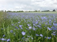 Achat vente terrain Chevillon Sur Huillard