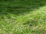 Achat vente terrain Levroux