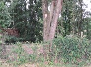 Achat vente terrain Vernou Sur Brenne