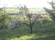 Immobilier Beaune La Rolande