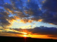 Immobilier Boulay Les Barres