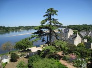 Immobilier Candes Saint Martin