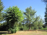 Immobilier Chanceaux Sur Choisille