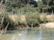 Immobilier Chateau La Valliere