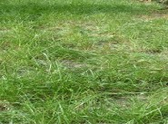 Immobilier La Chapelle Saint Laurian