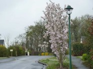 Immobilier Montbazon