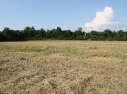 Immobilier Morthomiers