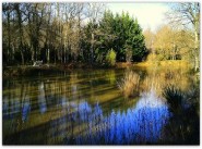 Immobilier Saint Epain