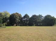 Terrain Chanceaux Sur Choisille