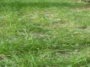 Terrain Mezieres En Brenne