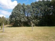 Terrain Selles Saint Denis