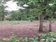 Terrain Vernou Sur Brenne